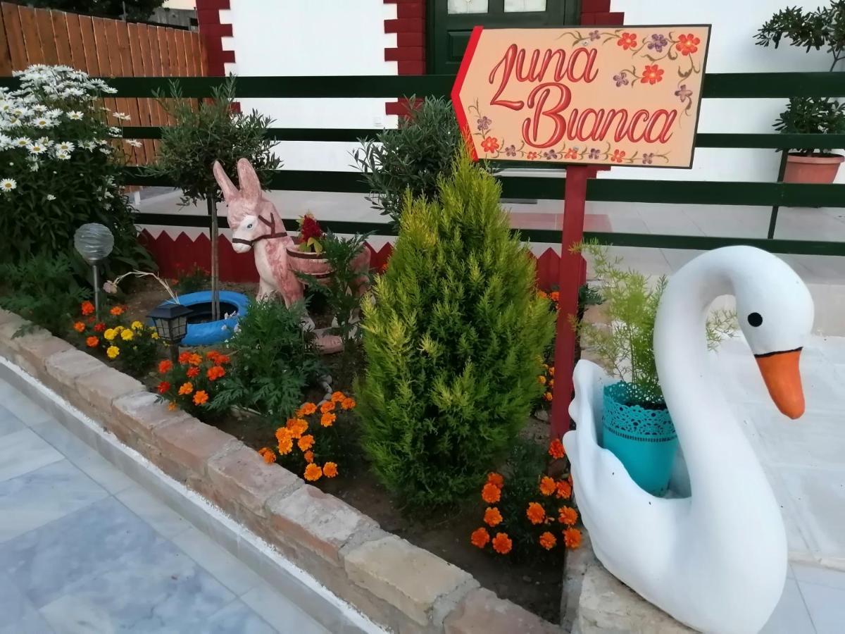 Luna Bianca - Corfu Apartments Εξωτερικό φωτογραφία